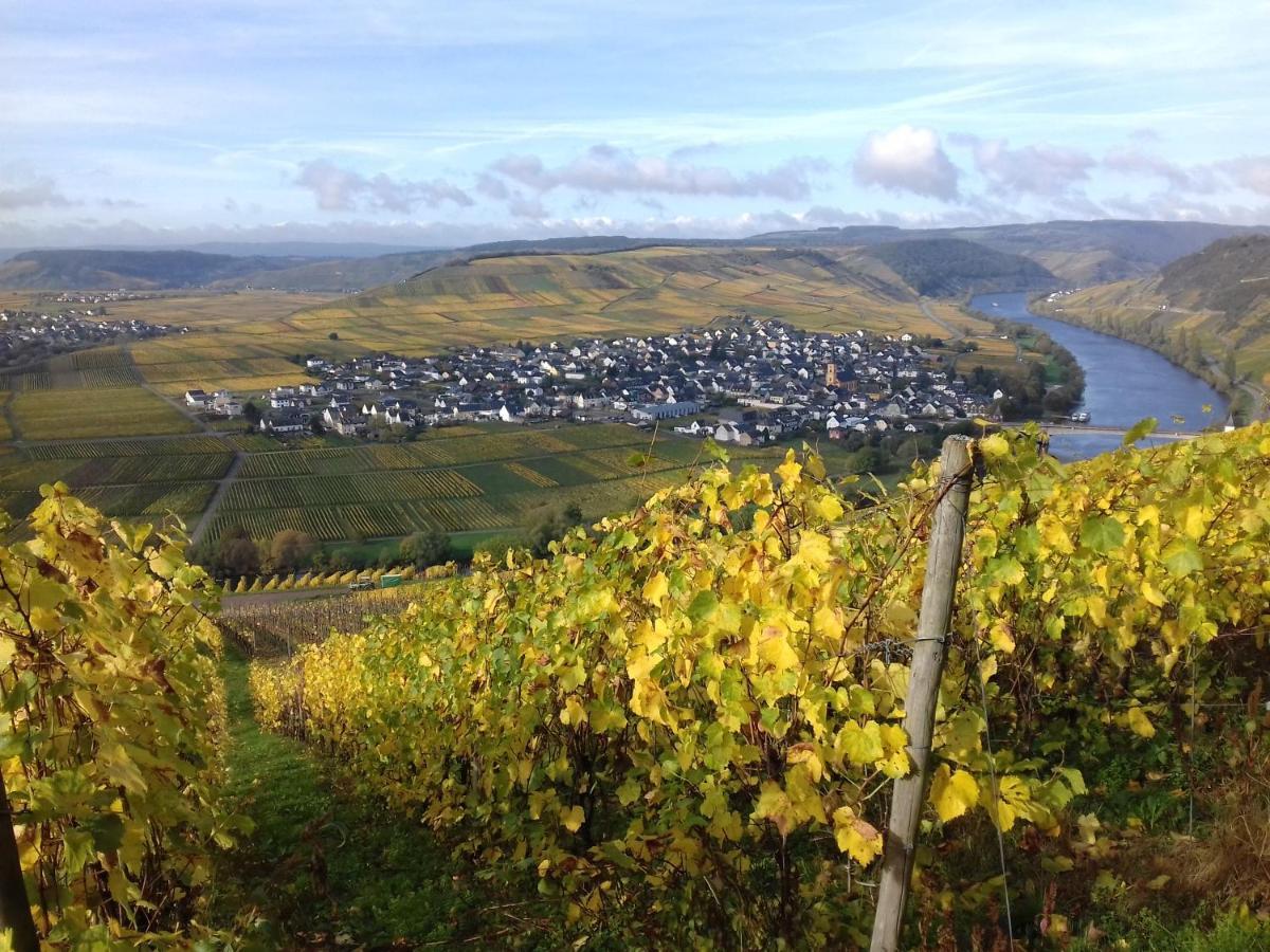 Ferienwohnung Bergblick Trittenheim Exterior foto